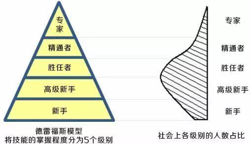 德雷福斯模型.jpg